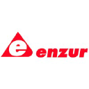 Enzur logo