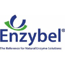 Enzybel logo