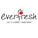 Everfresh logo