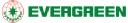 EVERGREEN GROUP USA LLC logo