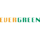 Evergreen Fibreboard logo