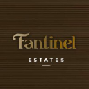 Fantinel logo