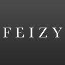 FEIZY IMPORT & EXPORT CO logo