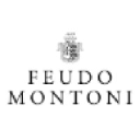 Feudo Montoni logo