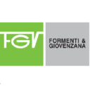 FGV logo