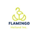 Flamingo Holland logo