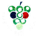 Frutera Aguas Blancas logo