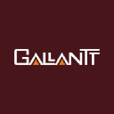 Gallantt Ispat logo