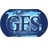 Global Freight Systems logo