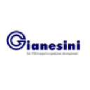 GIANESINI ERMINIO SRL logo