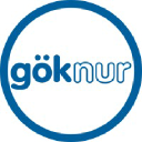 Goknur Gida logo