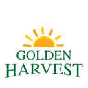 PT. GOLDEN HARVES COCOA INDONESIA logo