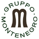 Montenegro logo