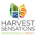 Harvest Sensations logo