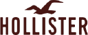 Hollister logo