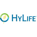 HyLife Foods logo