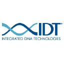 IDT logo