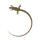 Iguana Yachts logo