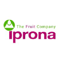 Iprona logo