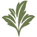 Jacobson Floral logo