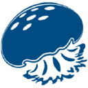 Jellyfish Brands logo