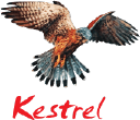 Kestrel Global Logistics logo