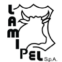 Lamipel logo