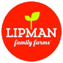 Lipman logo