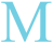 Magna Processing logo