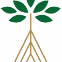 Mangrove logo