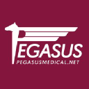 PEGASUS MEDICAL (ISRAEL) LTD logo