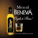 Mezcal Beneva logo