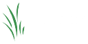 MFiber logo