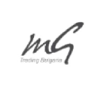 MG Trading logo