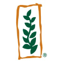 Monsanto logo