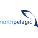 NORTH PELAGIC logo