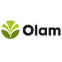 OLAM AGRICOLA LTDA RODOVIA BR 491, logo