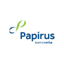 Papirus Industria logo