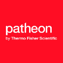 PATHEON PUERTO RICO INC., logo