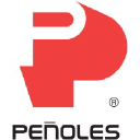 Met Mex Peñoles logo