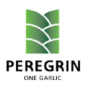 PEREGRIN ONE GARLIC, SL logo