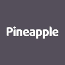 PINEAPPLE CONTRACTS LTD logo