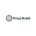 Pinus Brasil logo