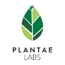 Plantae Labs logo