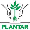 PLANTAR SAS logo