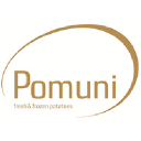 Pomuni Frozen logo