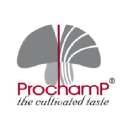 Prochamp logo