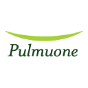 Pulmuone Foods logo