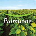 PULMUONE FOODS U.S.A INC. logo