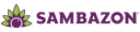 SAMBAZON INC logo